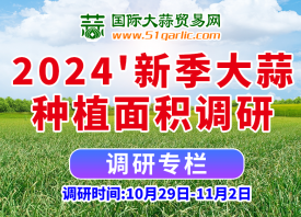 2024’大蒜種植面積有多大？ ()